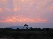 Sunset of Massai Mara