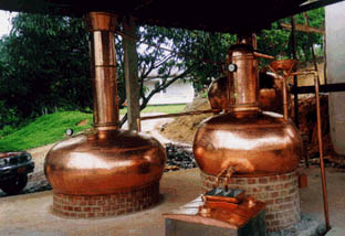 Cachaca Distillation