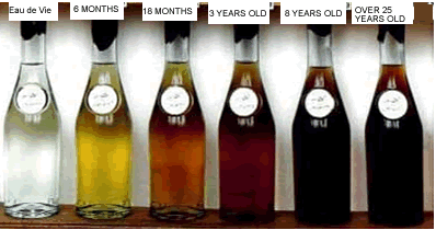 Aging phases of Cognac