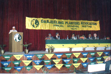 Annual General Meeting of the Darjeeling Planters  Association in Session. Photo from darjeelingtea.com