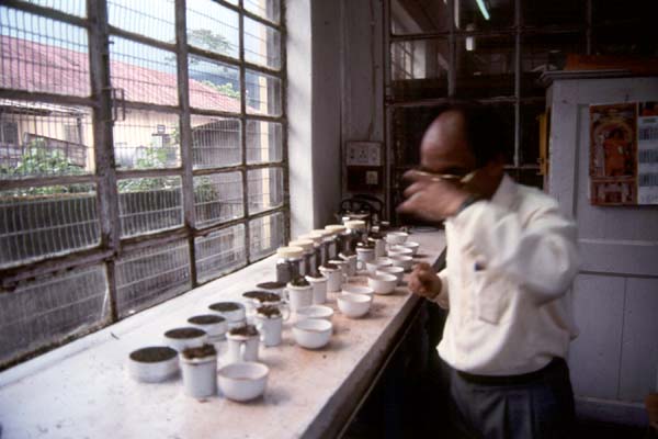 Tasting fresh tea late in the afternoon at Gielle. Copyright © Joel Grossman 2000