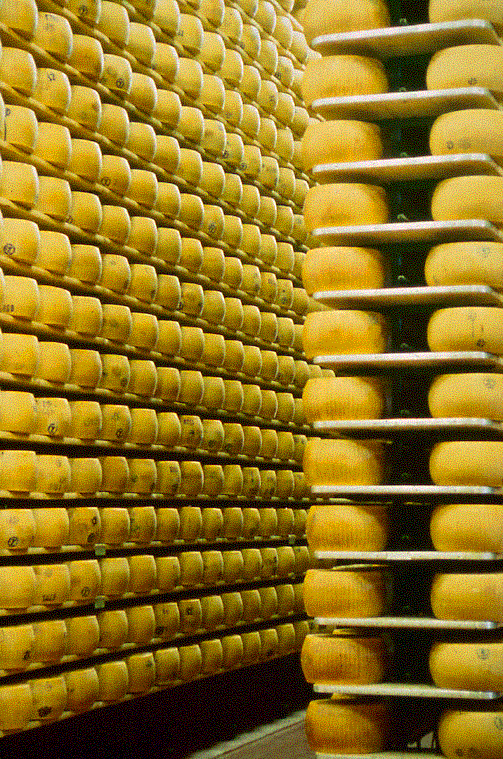 Shelves of Parmesan Wheels