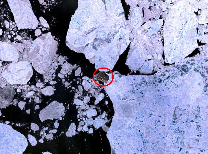 NASA Image of Hans Island