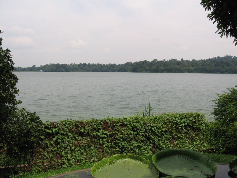 Singapore reservoir