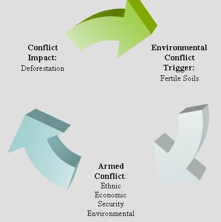 Environmental  Diagram