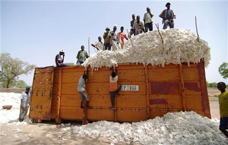 cottonprotest