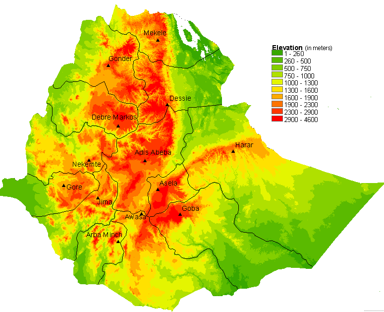 pia elevation