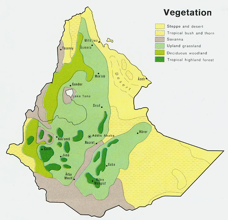 Ethiopia vegetation